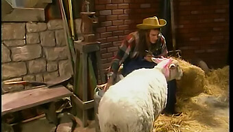 American Beauty With Big Boobs And Pigtails Enjoys Oral And Vaginal Sex With A Well-Endowed Partner In A Barn