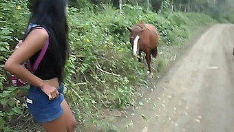 Thai Teen Heatherdeep'S Site Features Horse Cock To Creampie