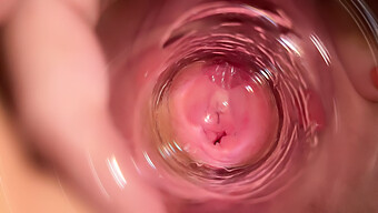 Close-Up Of Mia'S Tight Vagina With A Dildo