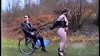 Bdsm Ponygirls Submit To Dominatrix