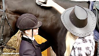 Duas Lésbicas Exploram O Prazer Oral Em Um Centro Equestre Rural