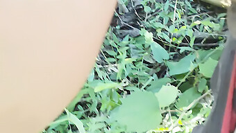 Bhabhi Madura Disfruta Del Sexo Duro En La Selva