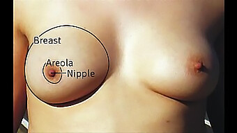 A Variety Of Big Natural Tits In One Video