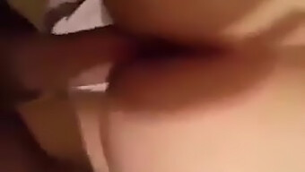 Arab Escort With Big Tits In Algeria