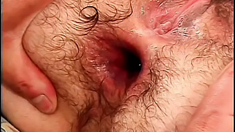 Hairy Brunette Spreads Her Ass Cheeks For Oral And Anal Penetration