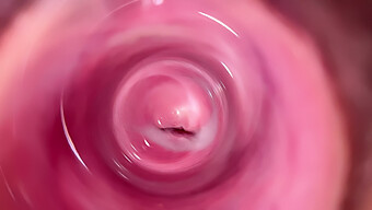 La Apretada Vagina De Mia Es Rellenada Con Un Consolador En Primer Plano En Hd